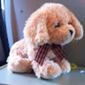 Meet your Posher, Edward